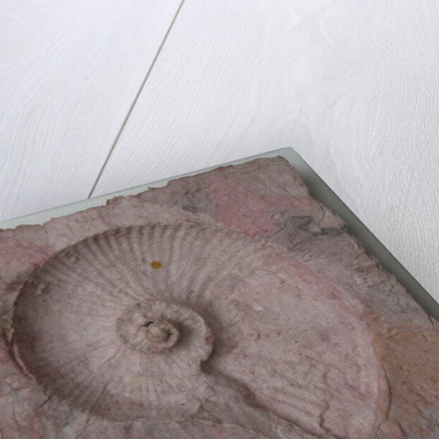 Helix 3 by Peter A Ford