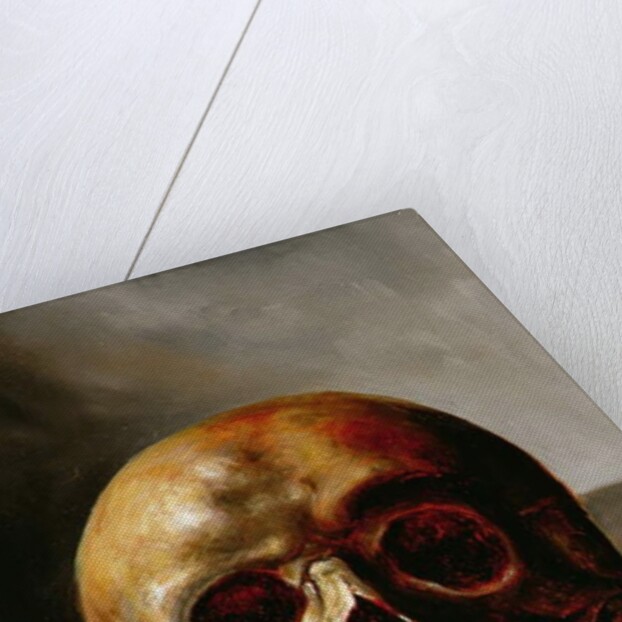 Skull by European School