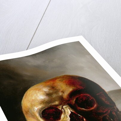 Skull by European School
