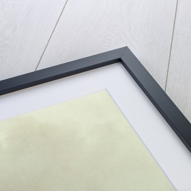 The Lost Greenhorn, 1851 by Alfred Jacob Miller