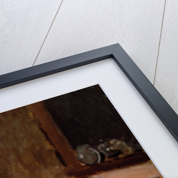 The Dinner, 1868-9 by Claude Monet