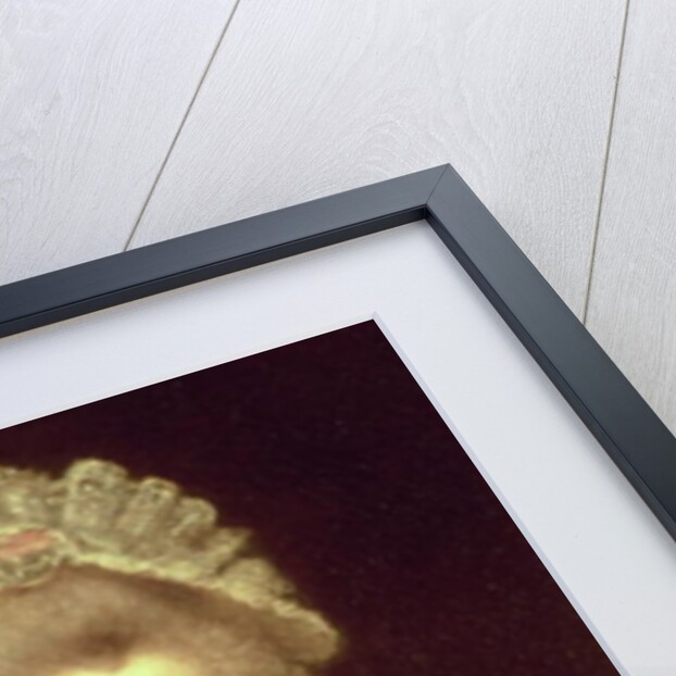 Countess Lavinia Spencer 1781-2 by Joshua Reynolds