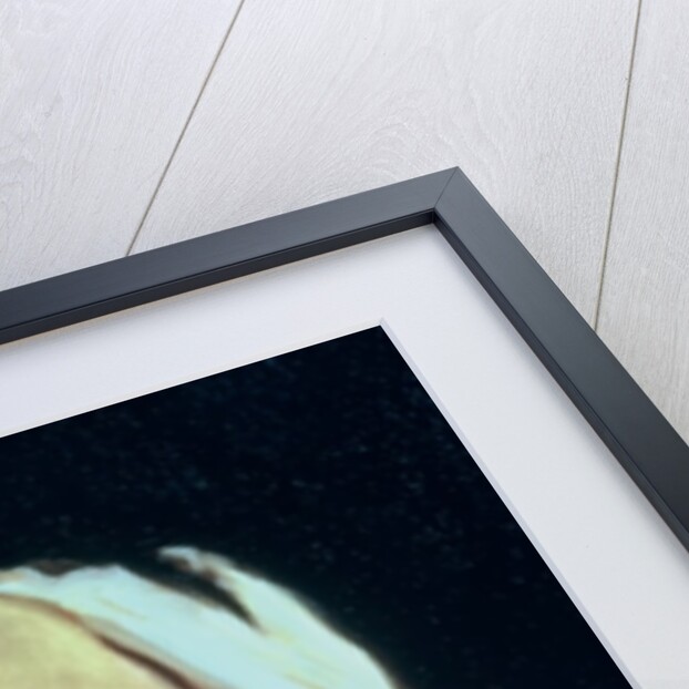 Mrs. Wilton Phipps, c.1884 by John Singer Sargent