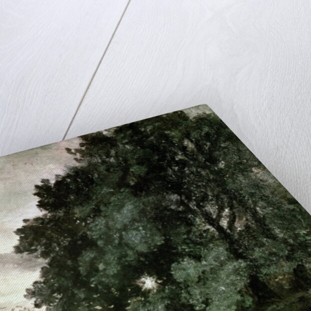 Study of Trees by John Constable