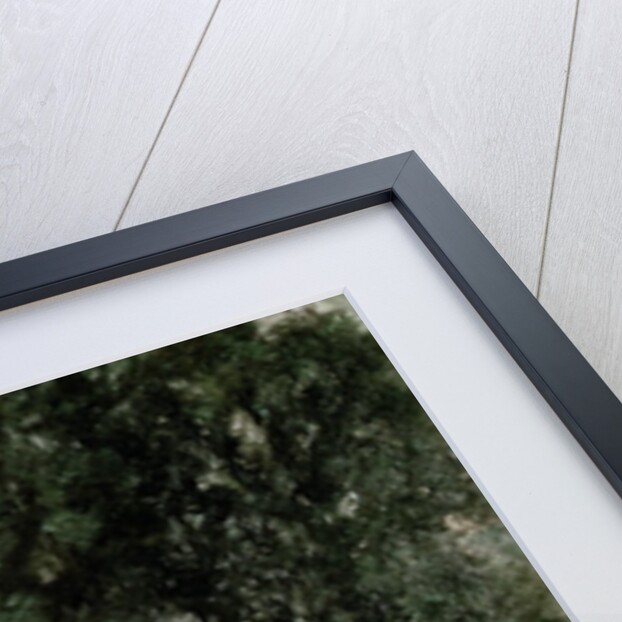 Study of Trees by John Constable