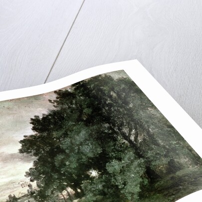Study of Trees by John Constable