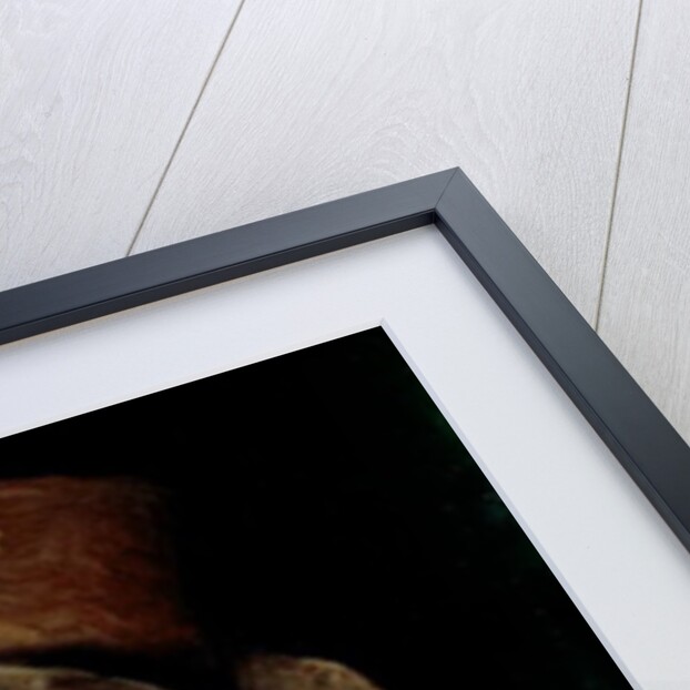 Self Portrait aged 65 by Francisco Jose de Goya y Lucientes