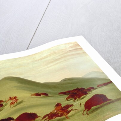 The Buffalo Hunt by George Catlin