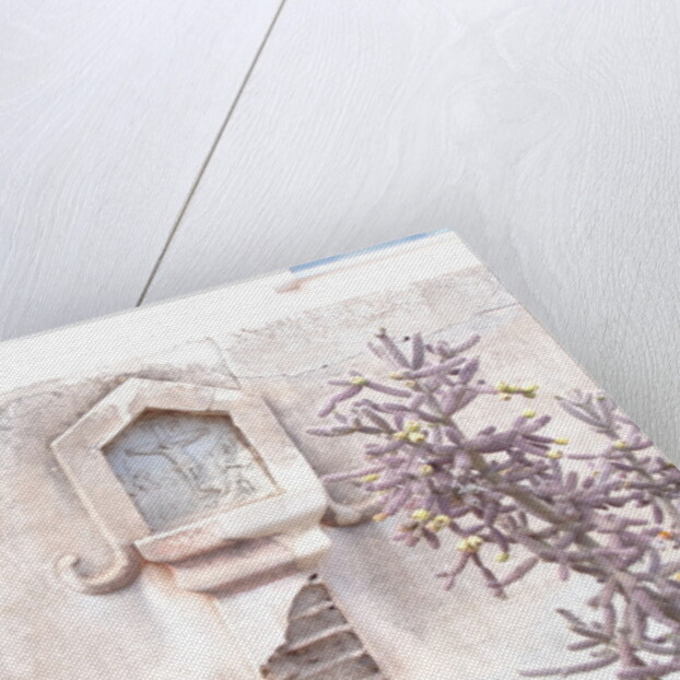 ARIZONA ICON, 2014 by Peter McClure