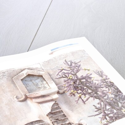 ARIZONA ICON, 2014 by Peter McClure