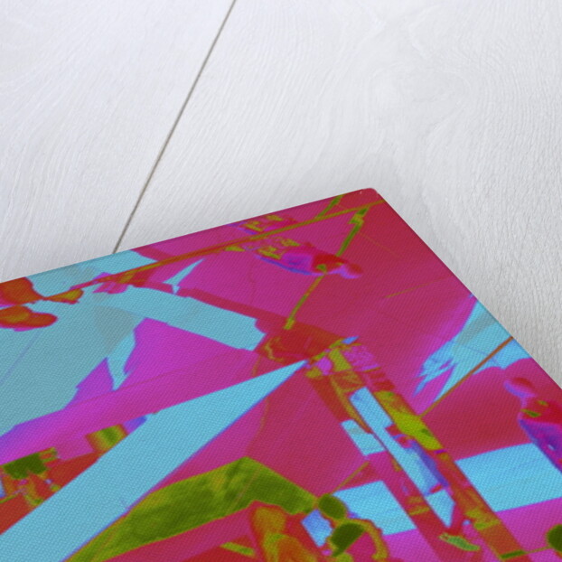 VENICE BEACH UPSIDE-DOWN, 2014 by Peter McClure