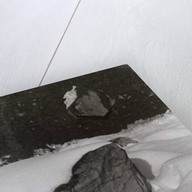 VINTAGE B&W PHOTO No.3, 1985 by Peter McClure