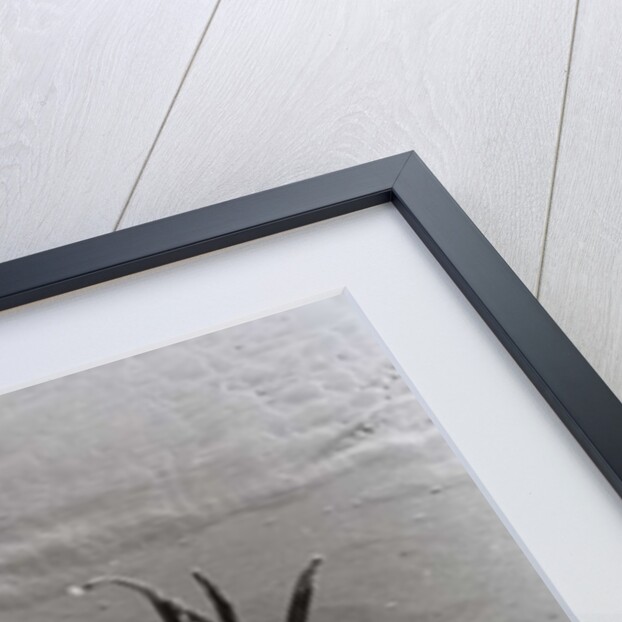 VINTAGE B&W PHOTO No.4, 1985 by Peter McClure