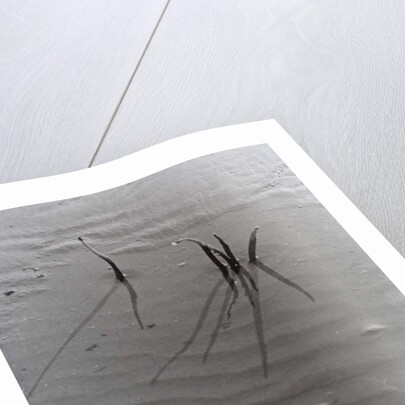 VINTAGE B&W PHOTO No.4, 1985 by Peter McClure