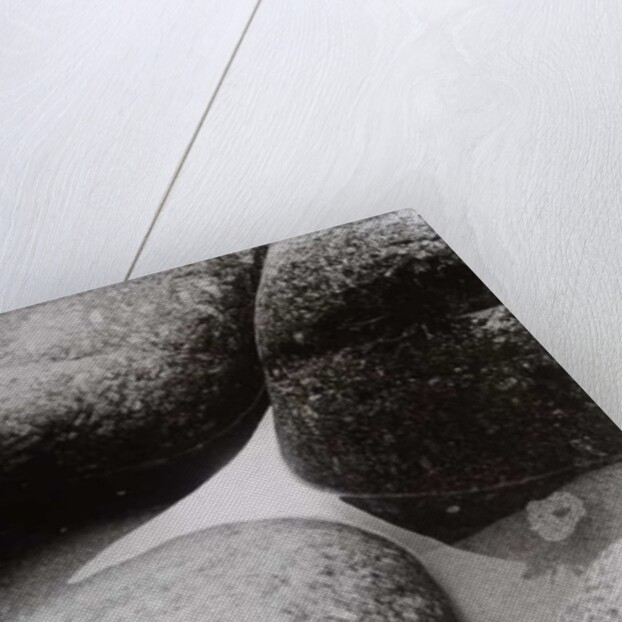 VINTAGE B&W PHOTO No.9, 1987 by Peter McClure