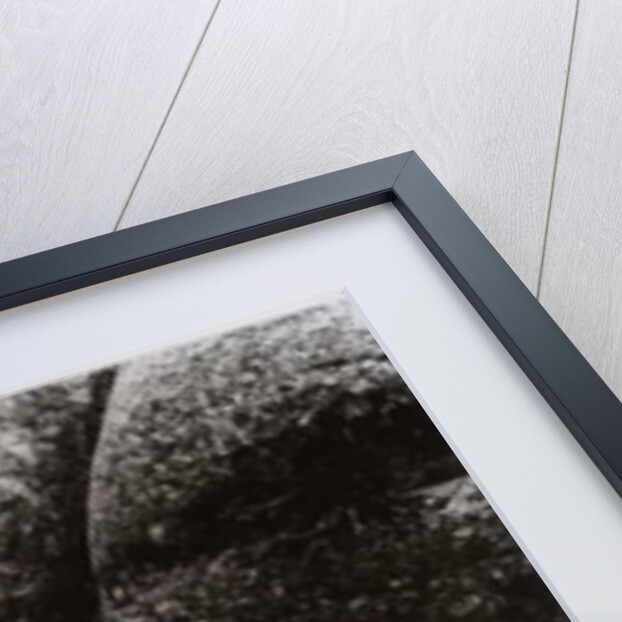 VINTAGE B&W PHOTO No.9, 1987 by Peter McClure