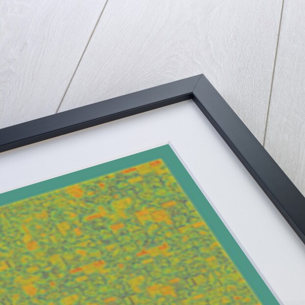 PAN'S LABYRINTH, 2017 by Peter McClure