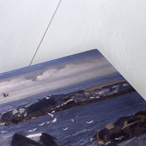 The Gulls, Monhegan, c.1913 by George Wesley Bellows