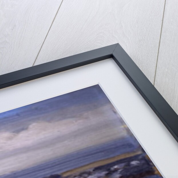 The Gulls, Monhegan, c.1913 by George Wesley Bellows