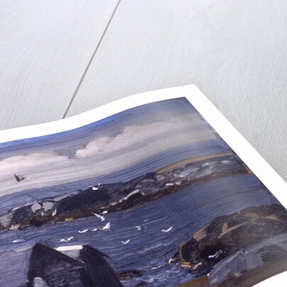 The Gulls, Monhegan, c.1913 by George Wesley Bellows