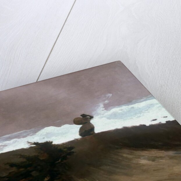 The West Wind, 1891 by Winslow Homer