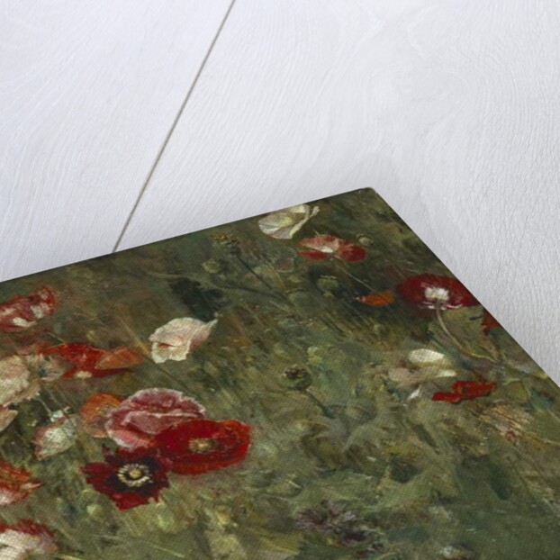 A Bed of Poppies, 1909 by Maria Oakey Dewing