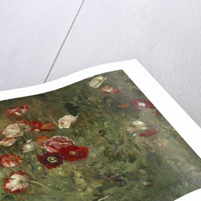 A Bed of Poppies, 1909 by Maria Oakey Dewing