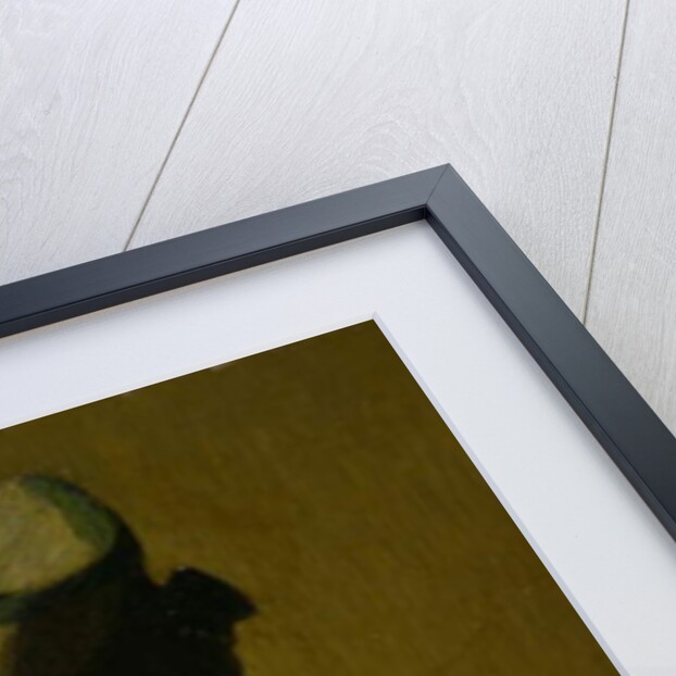 The Peacock Feather, c.1907-08 by Julian Alden Weir