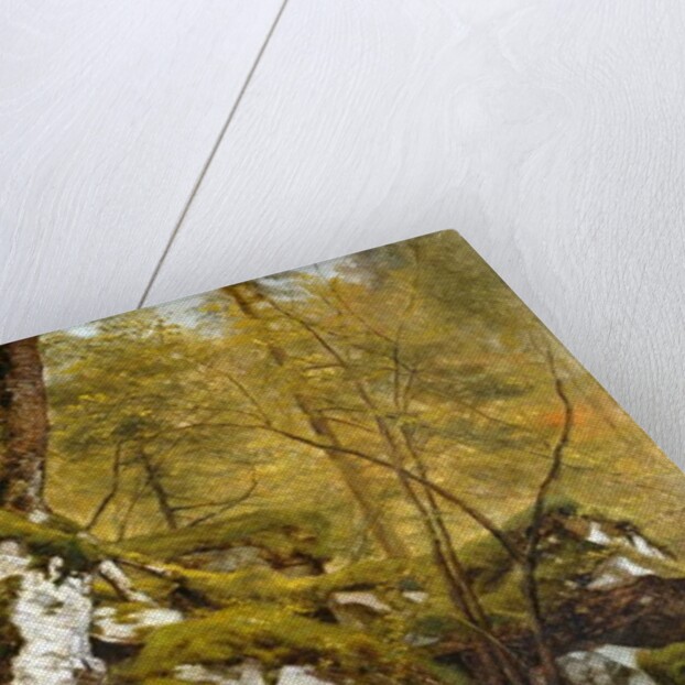 Study of a Wood Interior, c.1855 by Asher Brown Durand