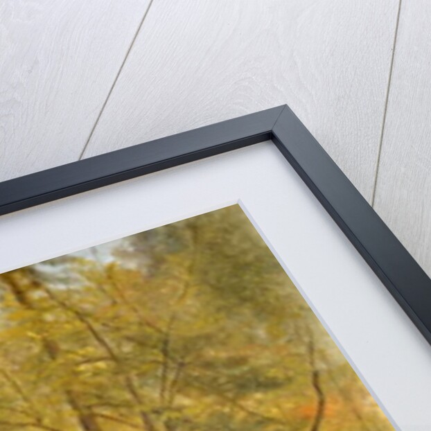 Study of a Wood Interior, c.1855 by Asher Brown Durand