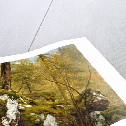 Study of a Wood Interior, c.1855 by Asher Brown Durand