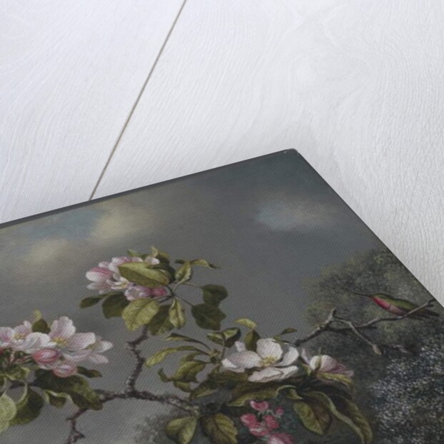 Apple Blossoms and Hummingbird, 1871 by Martin Johnson Heade