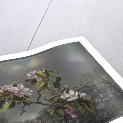 Apple Blossoms and Hummingbird, 1871 by Martin Johnson Heade