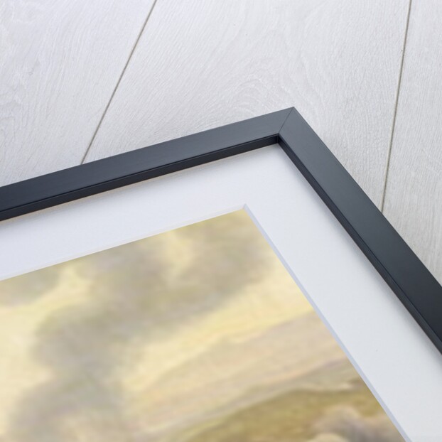 The Battle of Wagram, 6th July 1809 by Jacques Francois Joseph Swebach