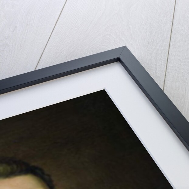 Portrait of Willem Frederik Prince of Orange, 1830 by Charles Louis Acar