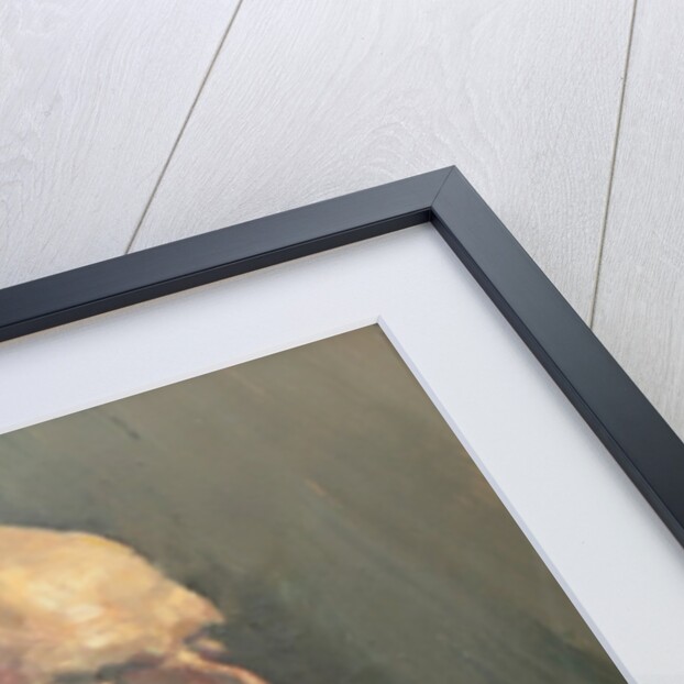 Barry, 2008 by Pat Maclaurin