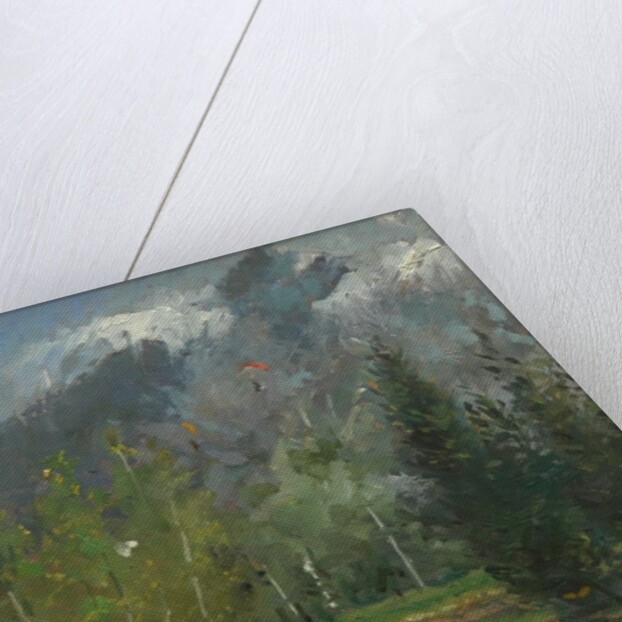 Hang gliders at Chamonix, 2007 by Pat Maclaurin