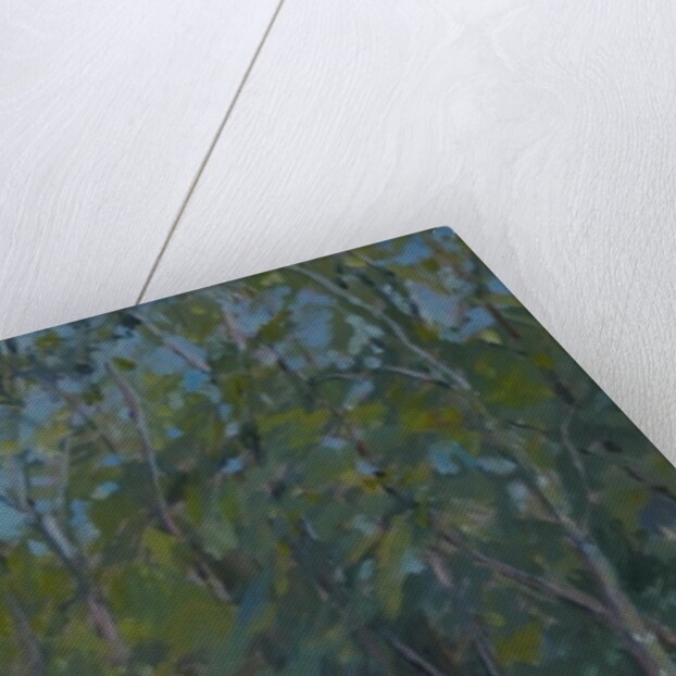 Woodland path, 2008 by Pat Maclaurin