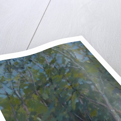 Woodland path, 2008 by Pat Maclaurin