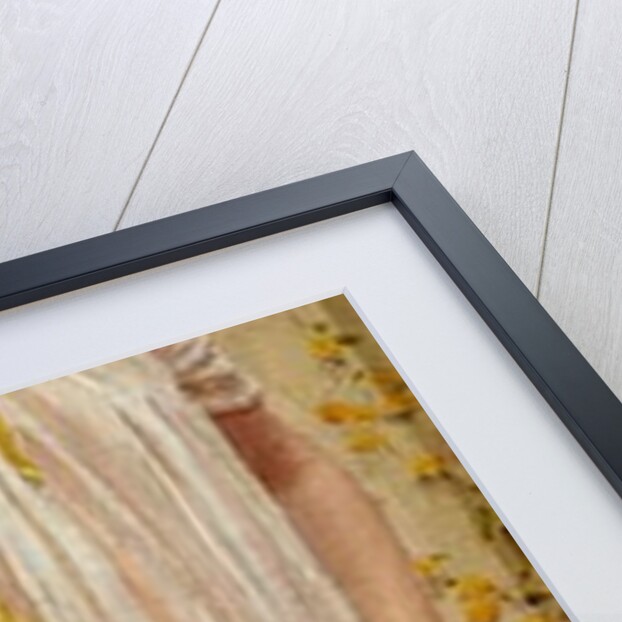 Anemones, c.1880 by Albert Joseph Moore