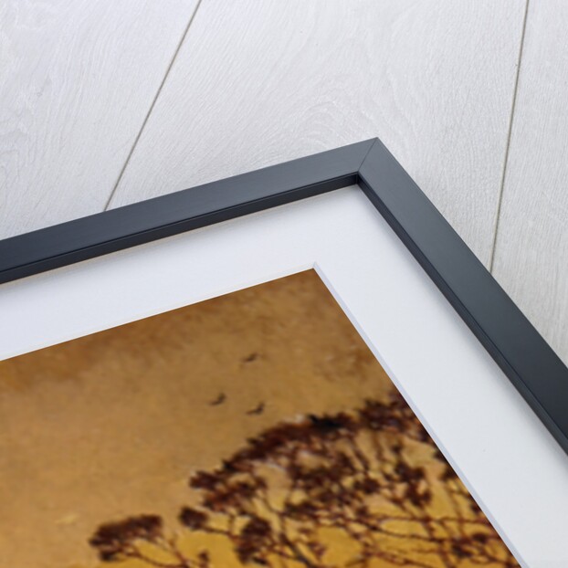 Hamadryads at the Dawning, c.1910 by Alexander Abdo