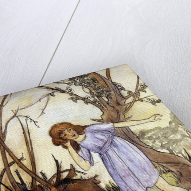 Fairy Music by Patricia Beeman Ardley