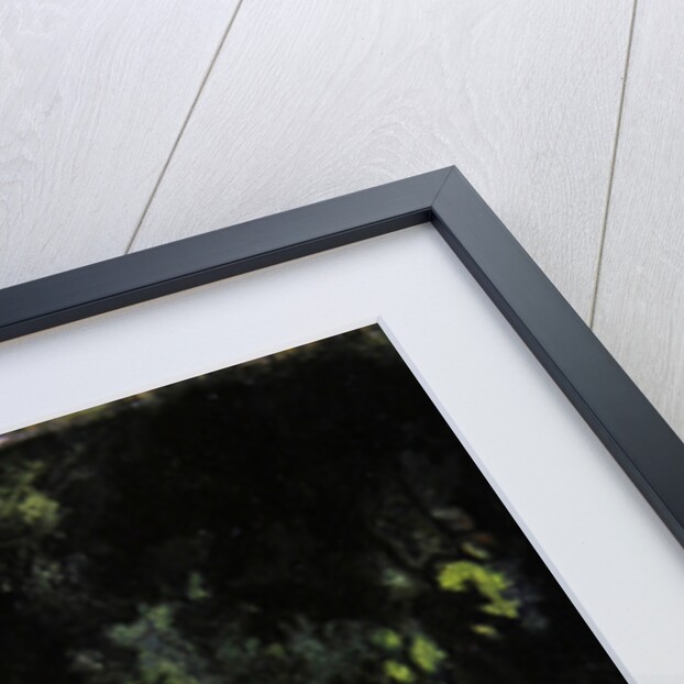 Susanna and the Elders by Theodor Baierl