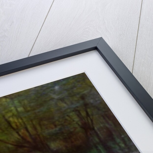 A lake with Naiads by Georges Clairin