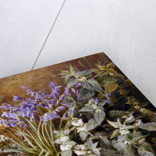 Wild Flowers by Marian Emma Chase