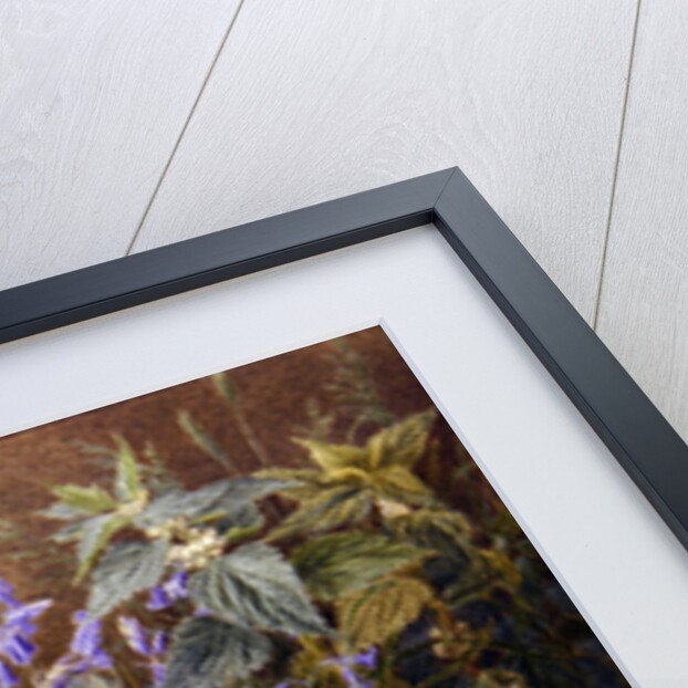 Wild Flowers by Marian Emma Chase