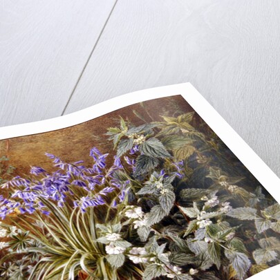 Wild Flowers by Marian Emma Chase