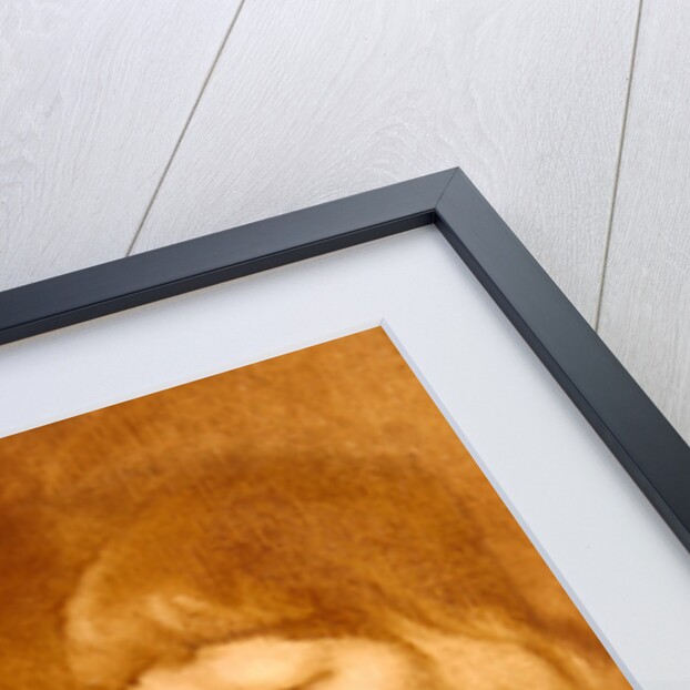 The Glass of Beer at Vernet's Cafe by Eugene Carriere