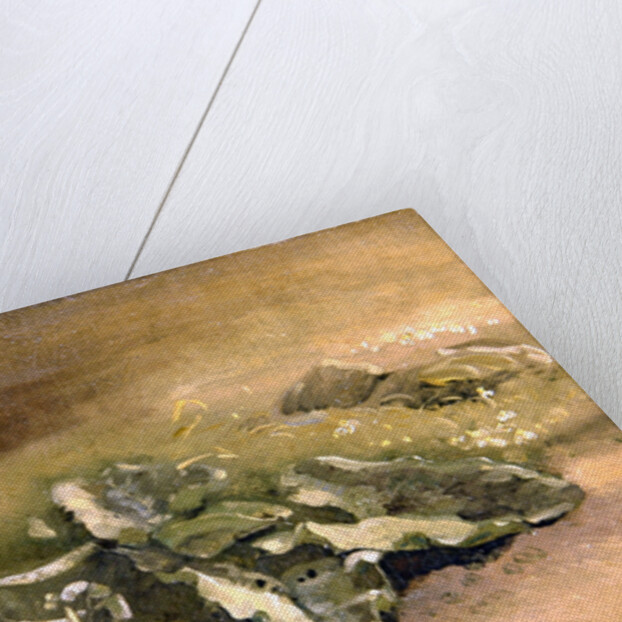 A Study of Burdock by John Constable