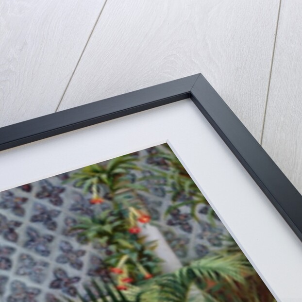 A Restful Moment by the Lion Fountain at the Alhambra, Spain, 1894 by Margaret Murray Cookesley